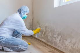 Trusted Northlake, TX Mold Removal Services Experts